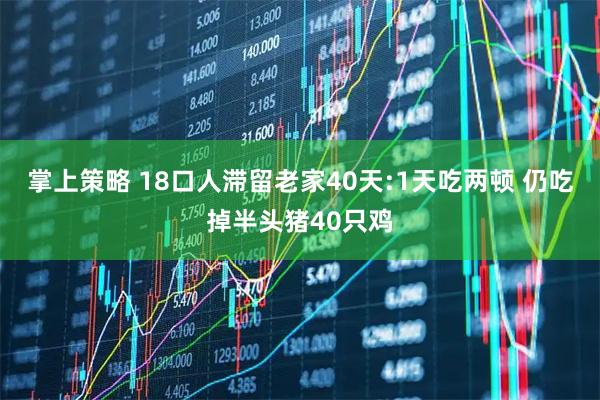 掌上策略 18口人滞留老家40天:1天吃两顿 仍吃掉半头猪40只鸡