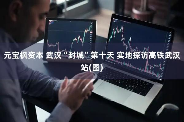 元宝枫资本 武汉“封城”第十天 实地探访高铁武汉站(图)