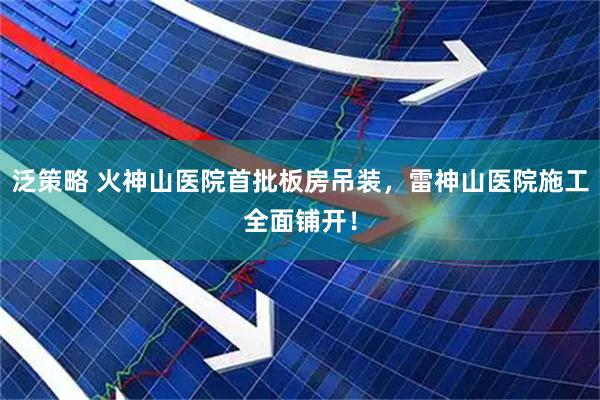 泛策略 火神山医院首批板房吊装，雷神山医院施工全面铺开！
